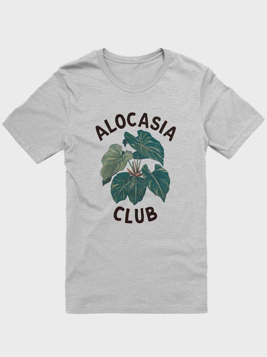 Alocasia Club product image (4)