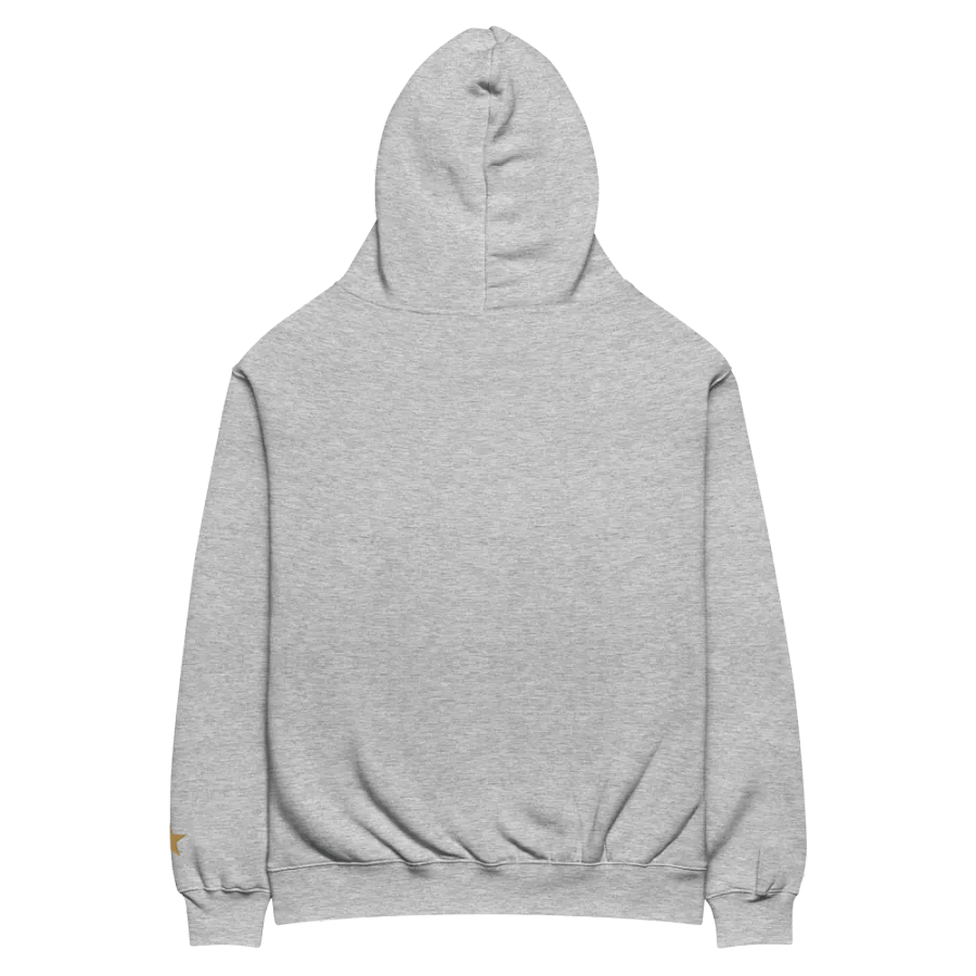 1 YEAR GOLDEN LONELY GOAT Unisex Premium Oversized Hoodie product image (5)