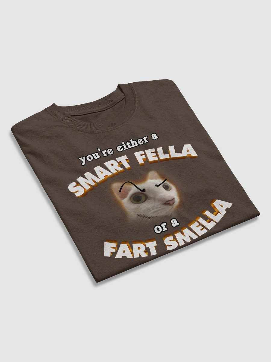 You're either a smart fella or a fart smella T-shirt product image (4)