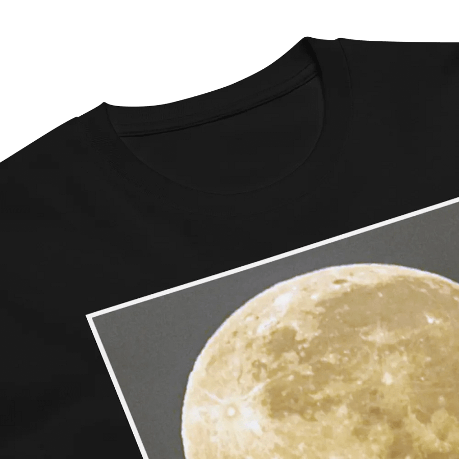 Christ The Redeemer Holding The Moon product image (6)