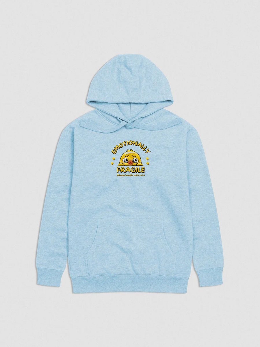 Embroided Emotionally Fragile Hoodie (Large Logo) product image (27)