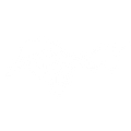 ARTFCT
