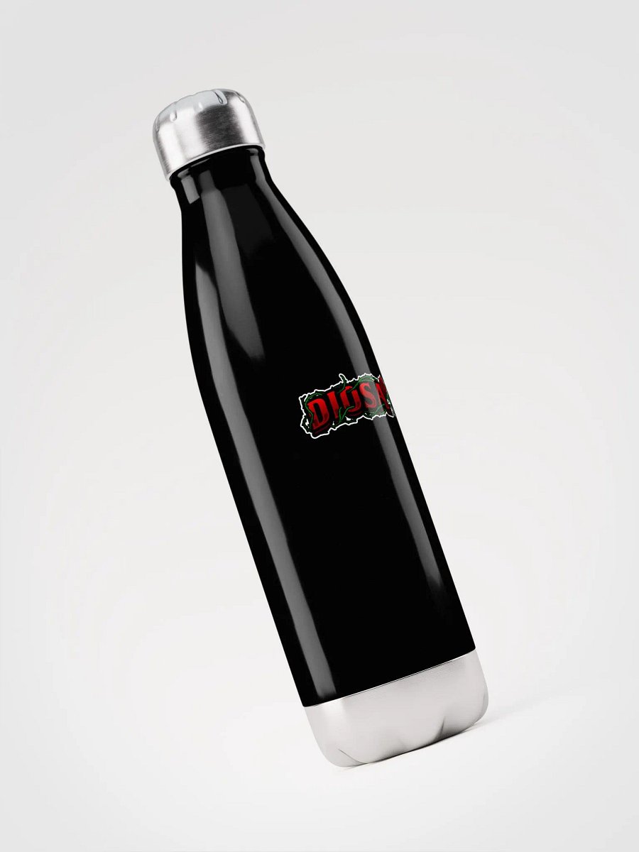 Diosa Stainless Steel Water Bottle product image (5)