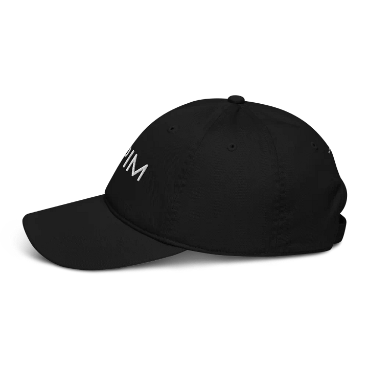 PPIM SIMPLE Econscious Organic Dad Hat product image (6)