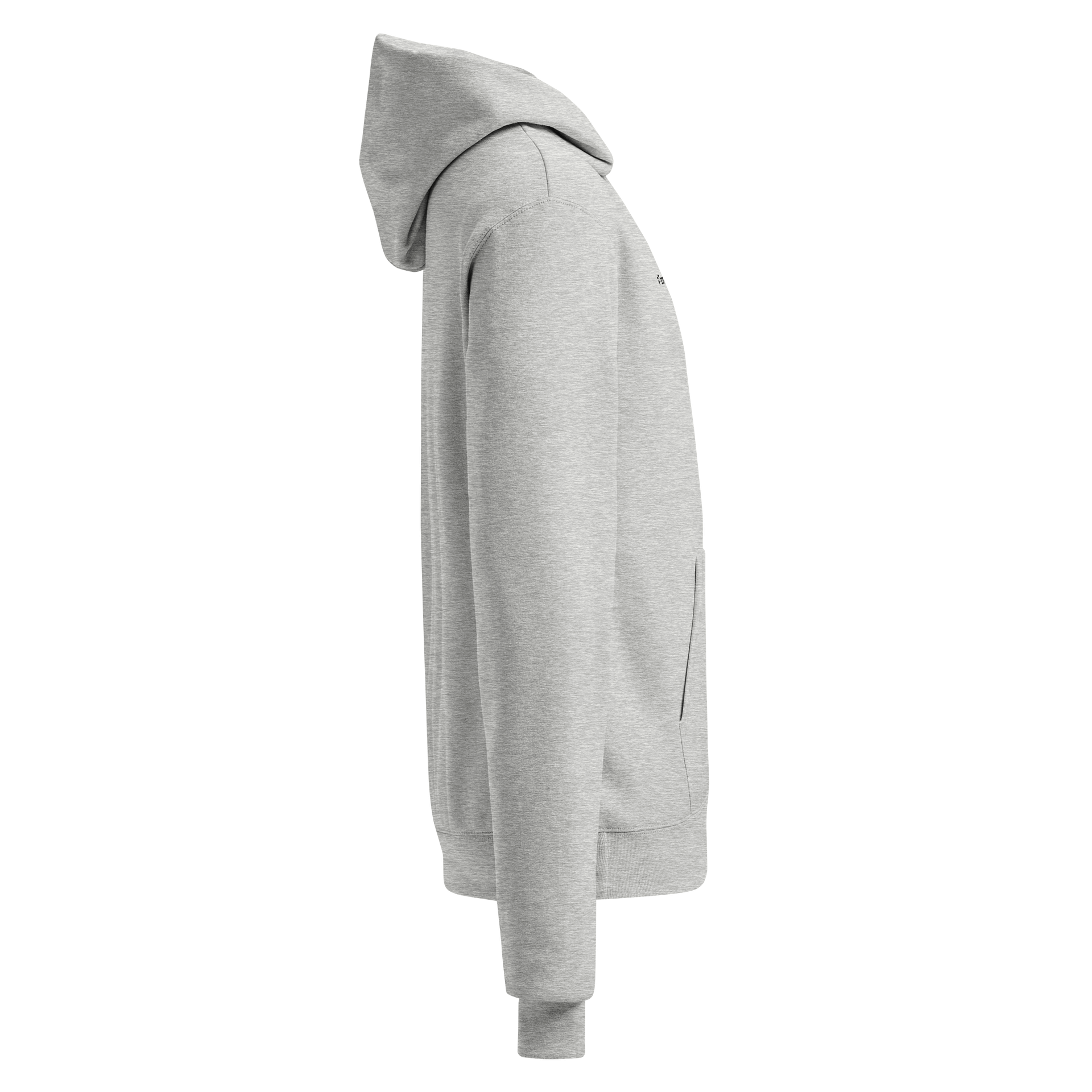 #TeamSchmuck Hoodie (Gray) product image (4)