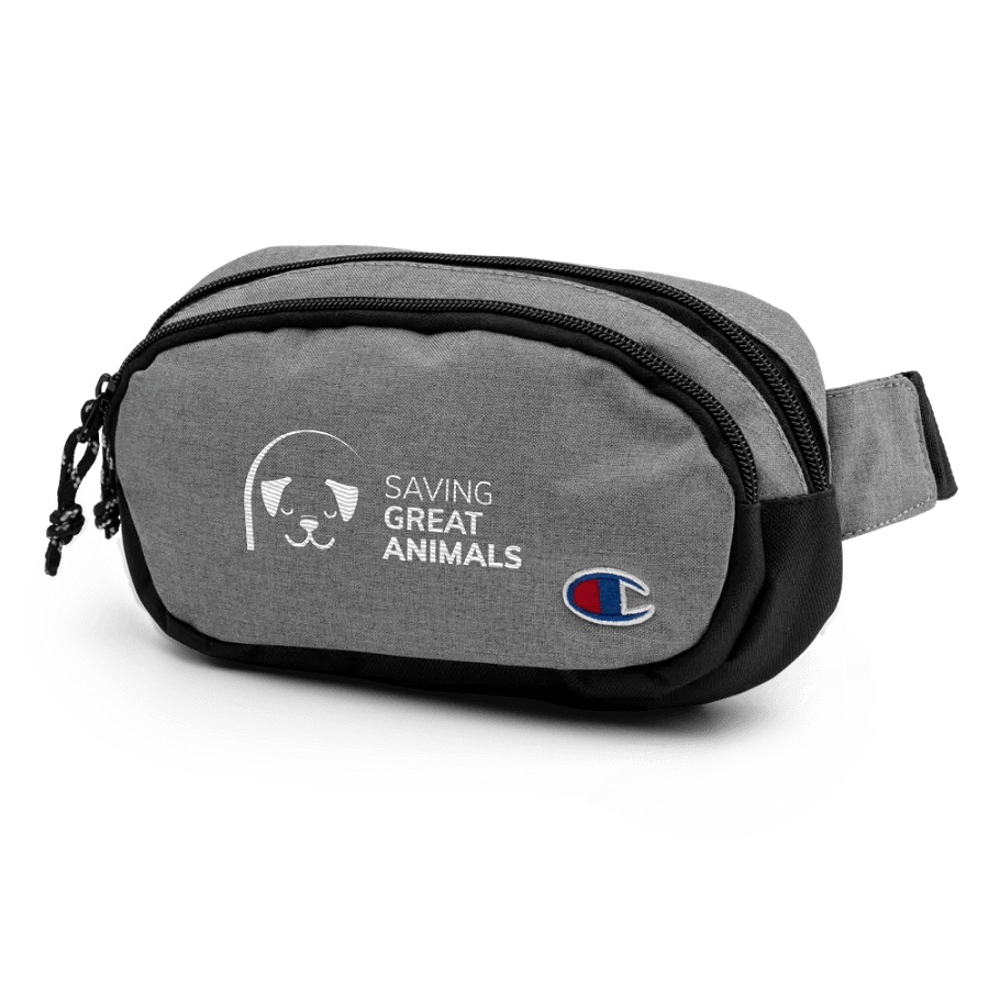 SGA Logo Bag - Small product image (4)