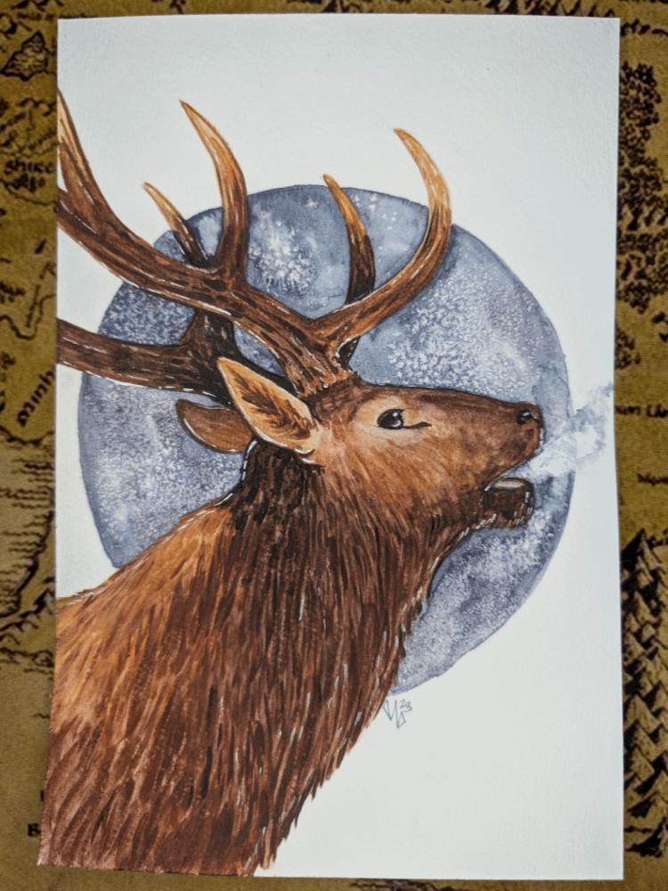 Bull Elk product image (1)