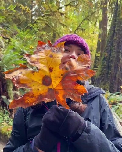 I saw the largest trees in my life 🏞️ breath taking 💙