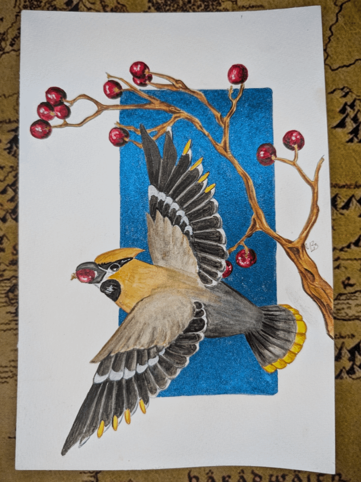 Waxwing Autumn product image (1)
