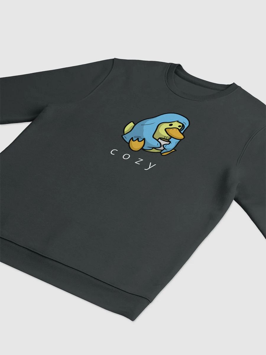 Cozy Danny Eco Sweatshirt product image (3)