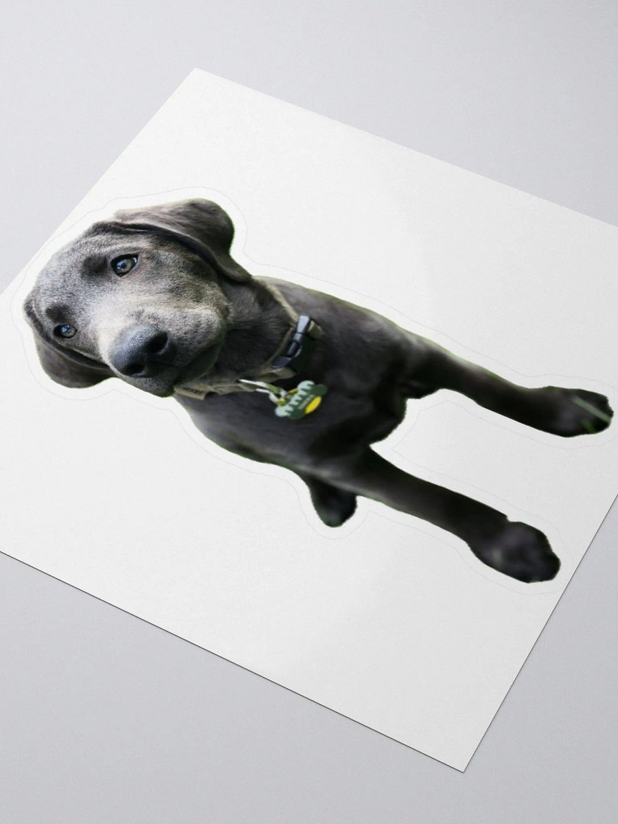 Sokka sticker product image (3)