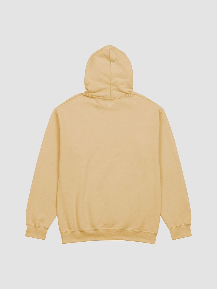 OKPV Hoodie (Classic) product image (6)