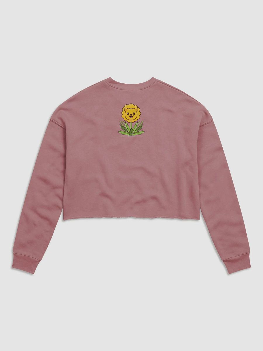 dandielyon cropped sweatshirt product image (27)