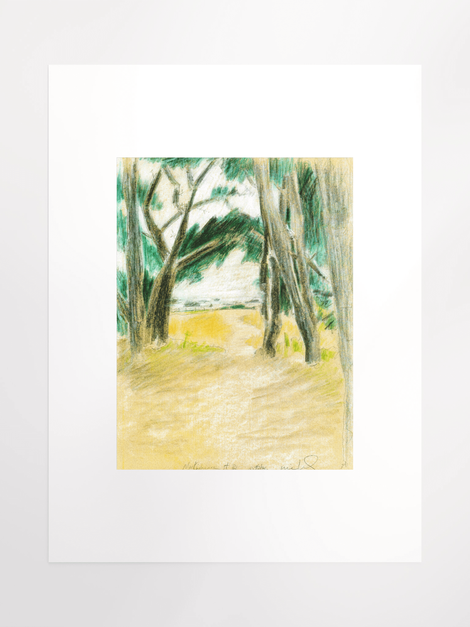 Mackerricher State Park, CA 09.02.86 print product image (2)