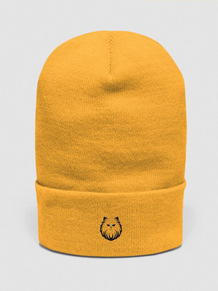 Yupoong Cuffed Beanie: Persian product image (2)