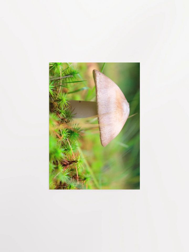 once. Print product image (2)