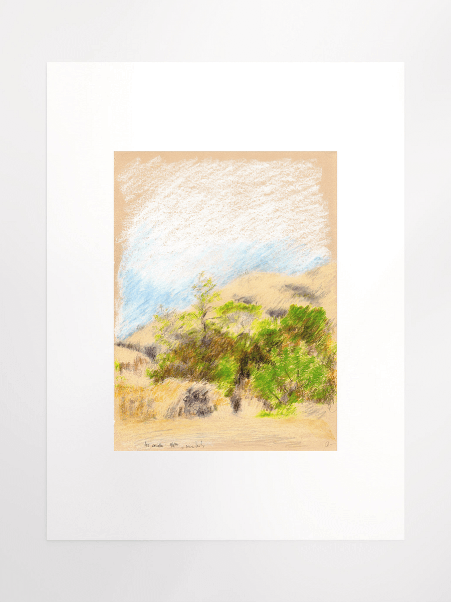 Leo Carillo State Park, CA #1 09.08.86 print product image (2)