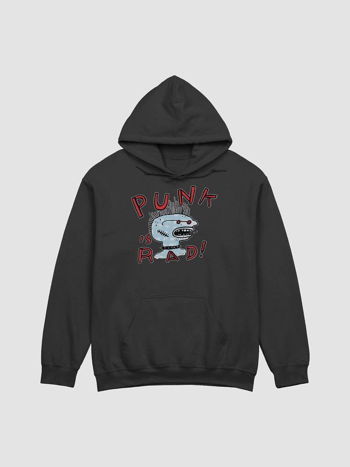 Punk, So Rad Hoodie product image (3)