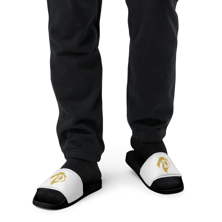KD Hill Slides product image (14)