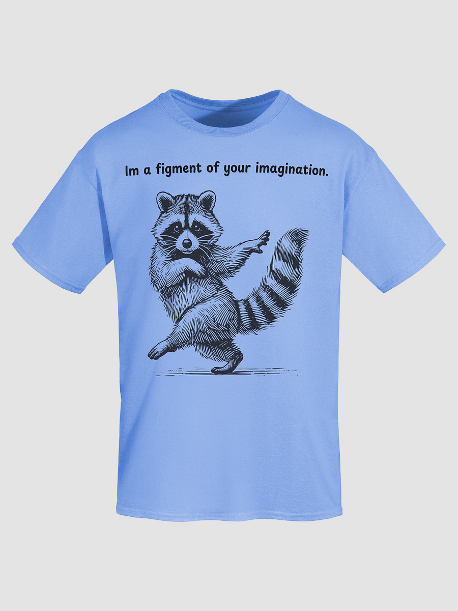 Raccoon Dance Party T-Shirt product image (38)