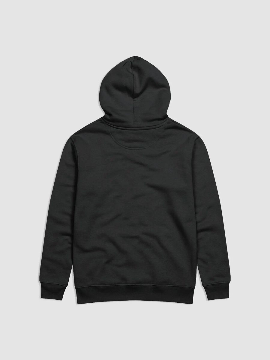 Hoodie AFU Raccoon product image (2)