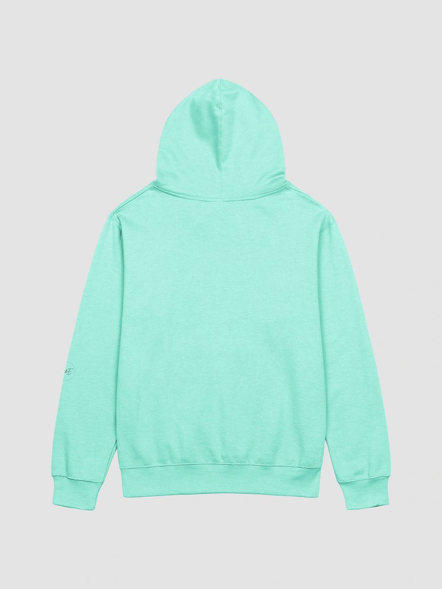 'Later Gator' Midweight Hoodie product image (7)