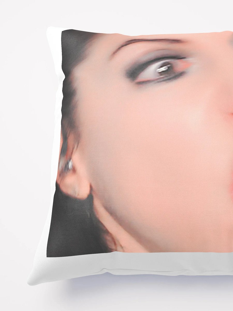 RIDICULOUS PILLOW product image (4)