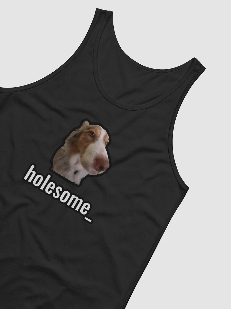 holesome Biggie Tank Top product image (18)