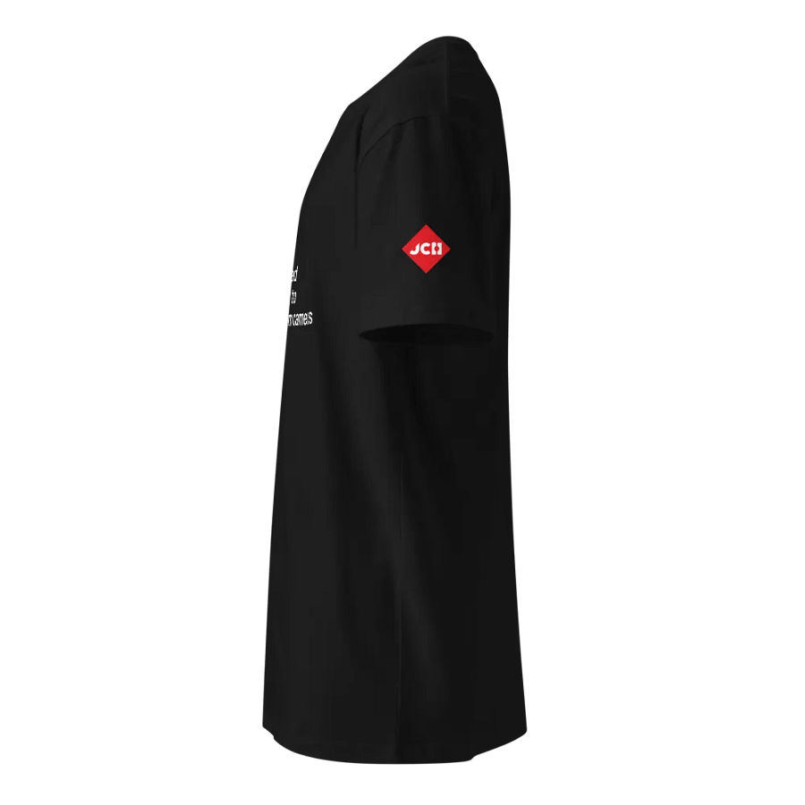 Introvert T shirt product image (4)