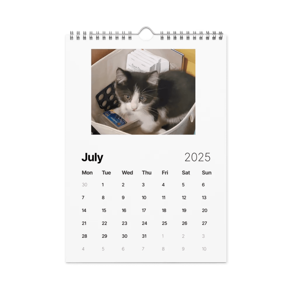 50 Shades of Haru - 2025 Wall Calendar product image (7)