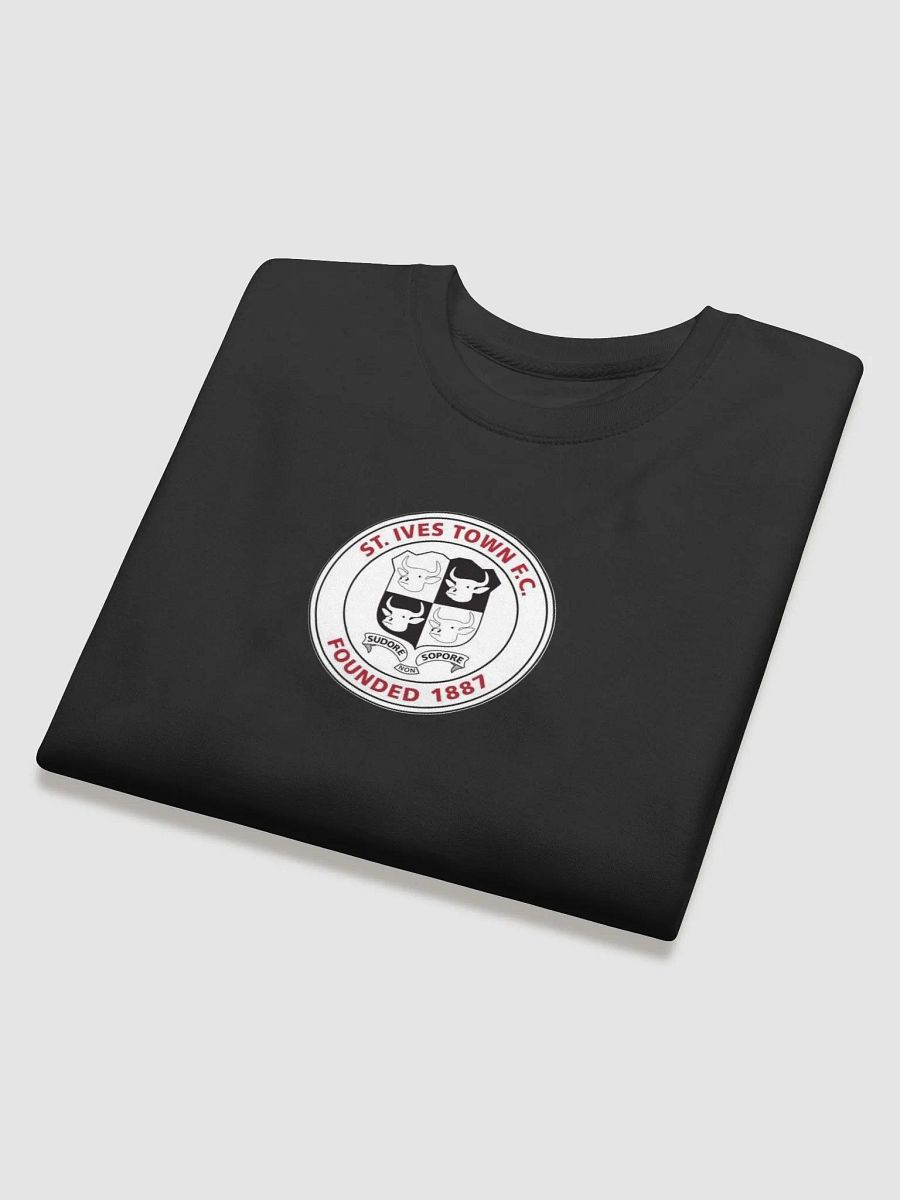SITFC Classic Sweatshirt product image (4)