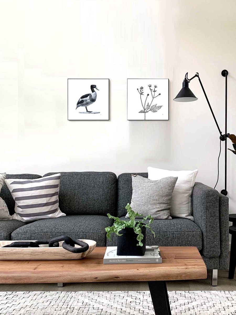 Blank Canvas: Unleash Your Artistic Vision - Duck product image (7)
