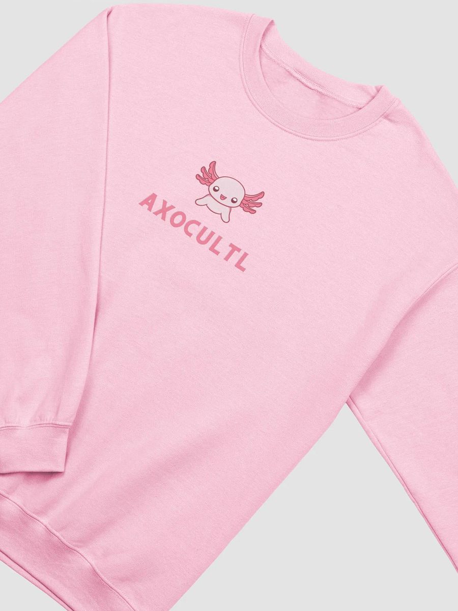 NOT A CULT Sweatshirt product image (13)