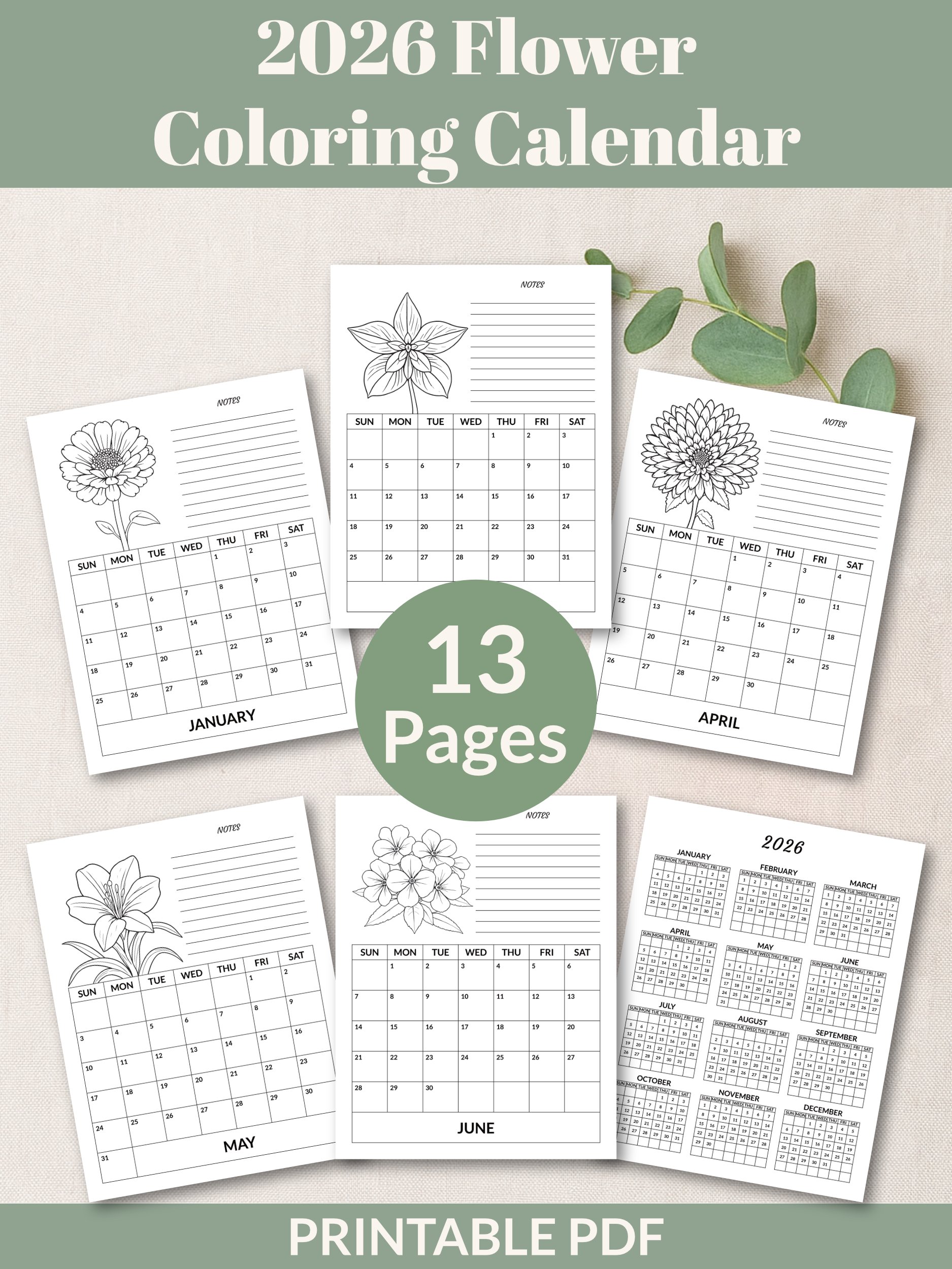 Printable 2026 Flower Coloring Calendar product image (1)