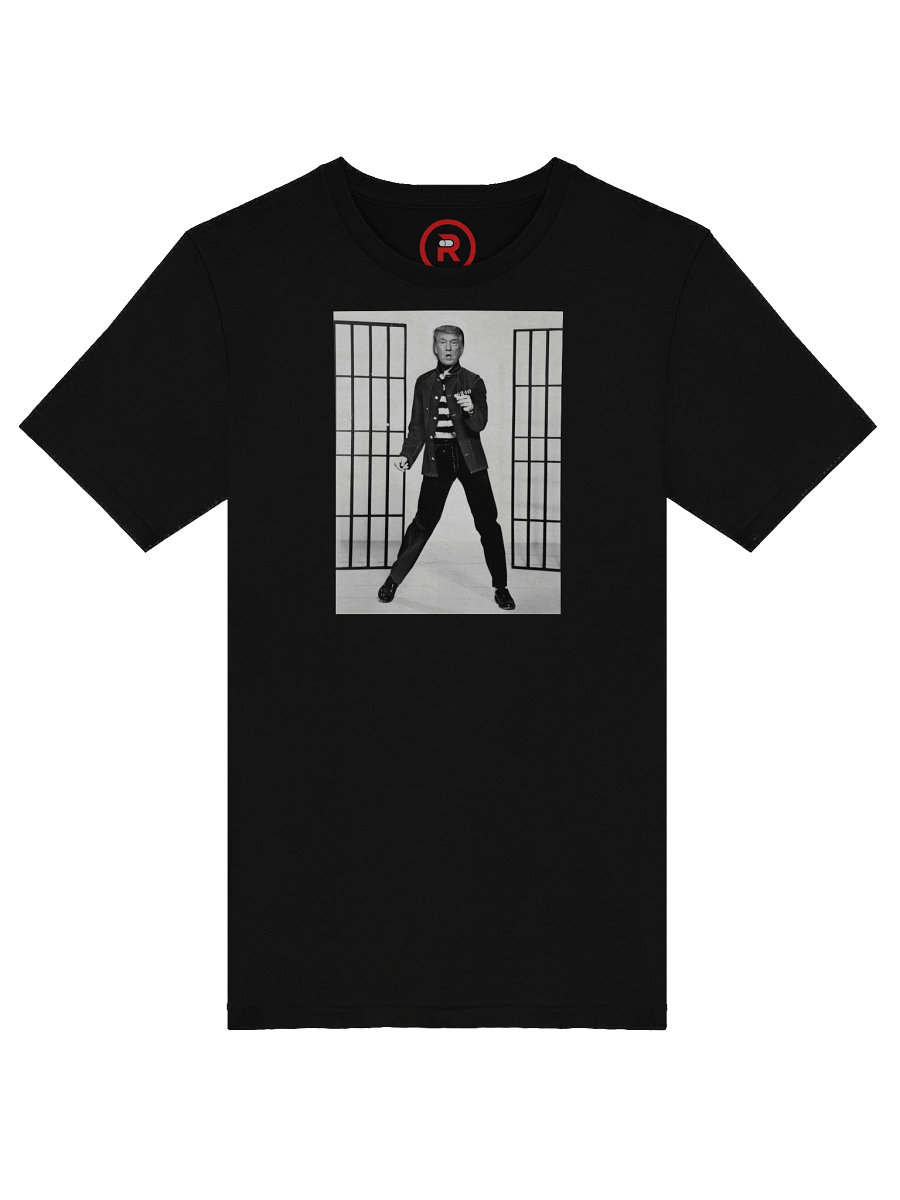 Trump House Rock product image (21)