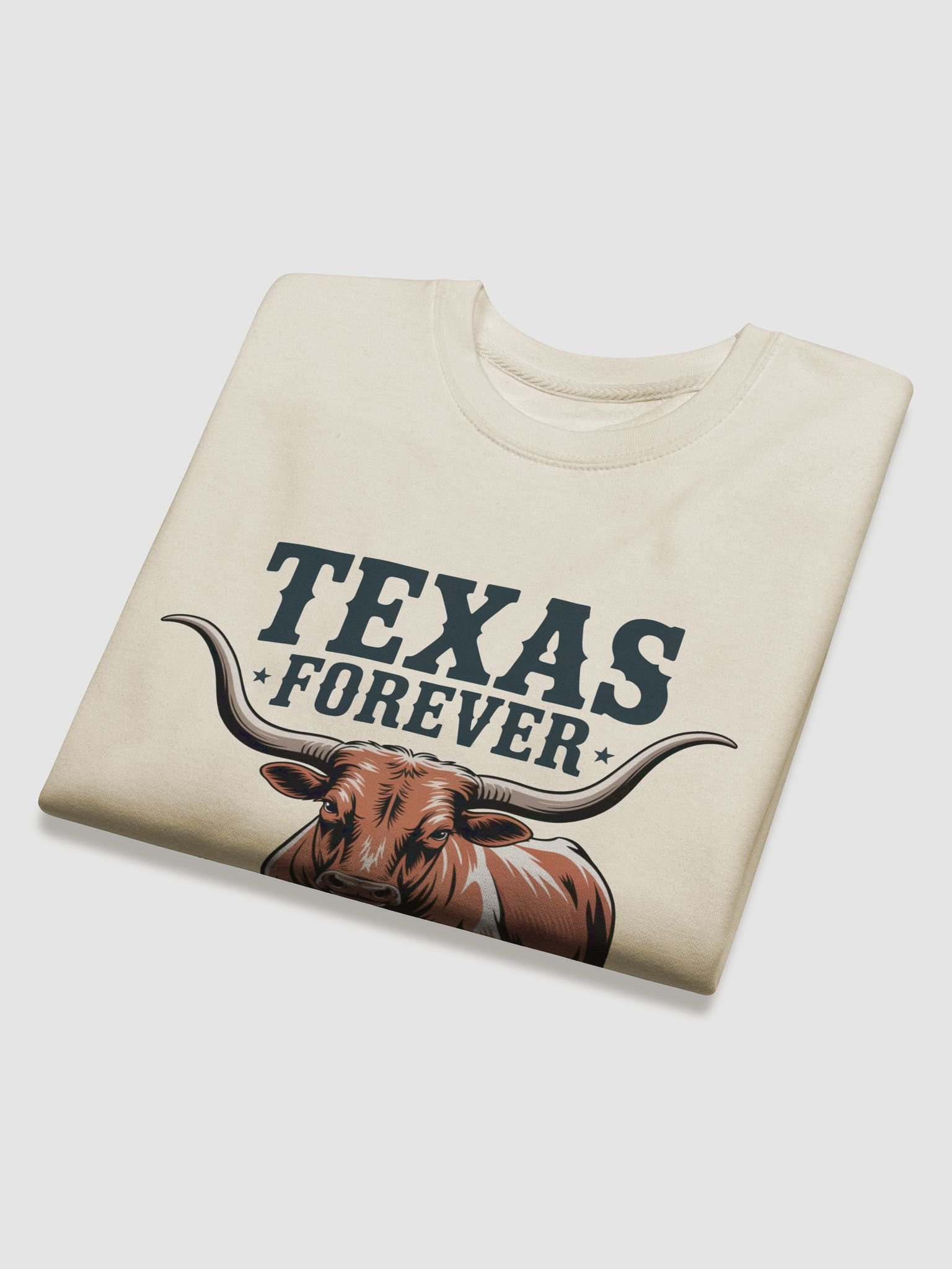 Texas Forever Sweater product image (31)
