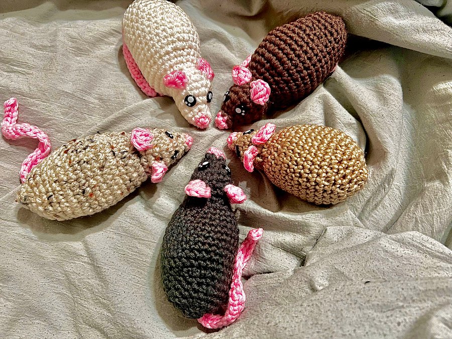 Scrappy the Street Rat product image (3)