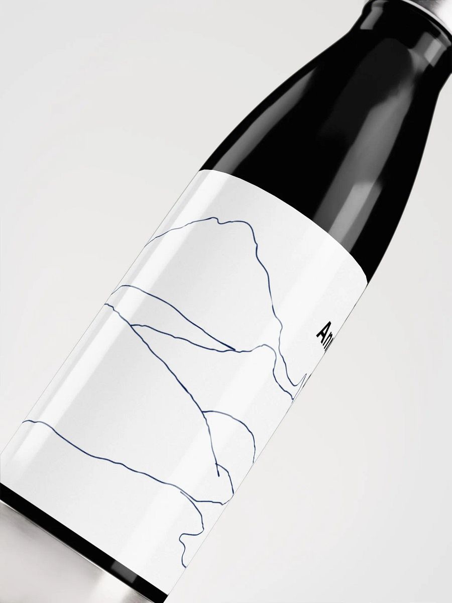 Gilbert Peak water bottle (75th Anniversary climb) product image (5)