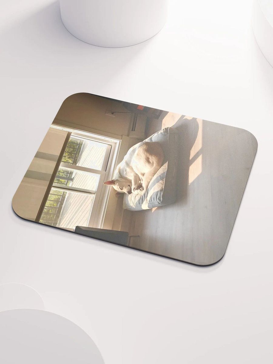 sunbeamn boy product image (3)