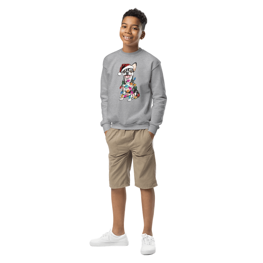 Funny Christmas Chihuahua(Tricolor) Youth Sweatshirt product image (5)