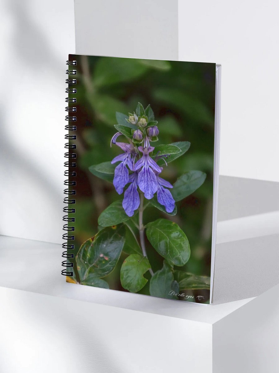 📘 Notebook Collection PURE – Jardin du Rayol – Germandrée arbustive product image (4)