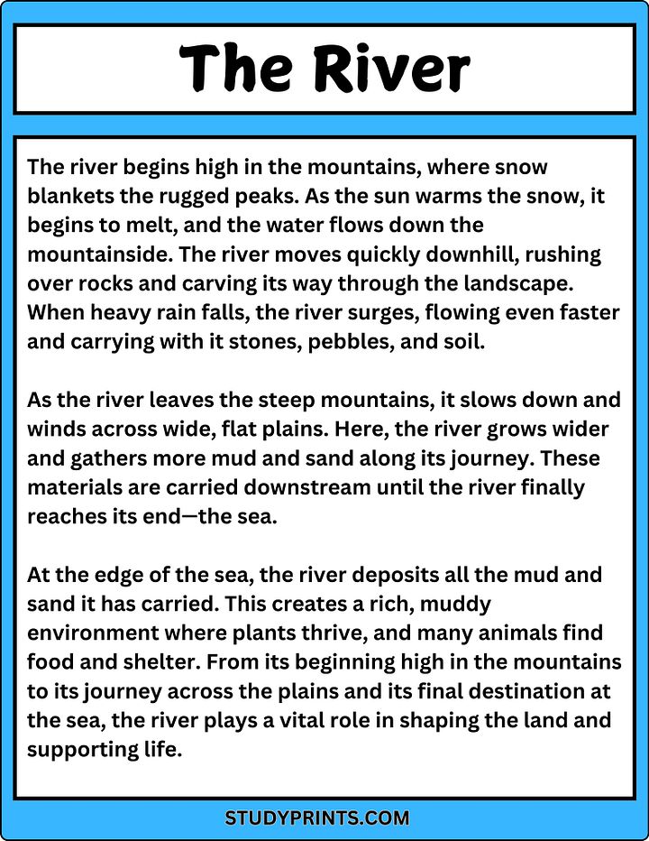 The River Reading Passage with Comprehension Questions product image (2)