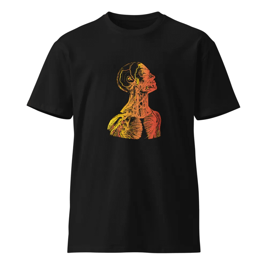 Anatomy - Head product image (1)