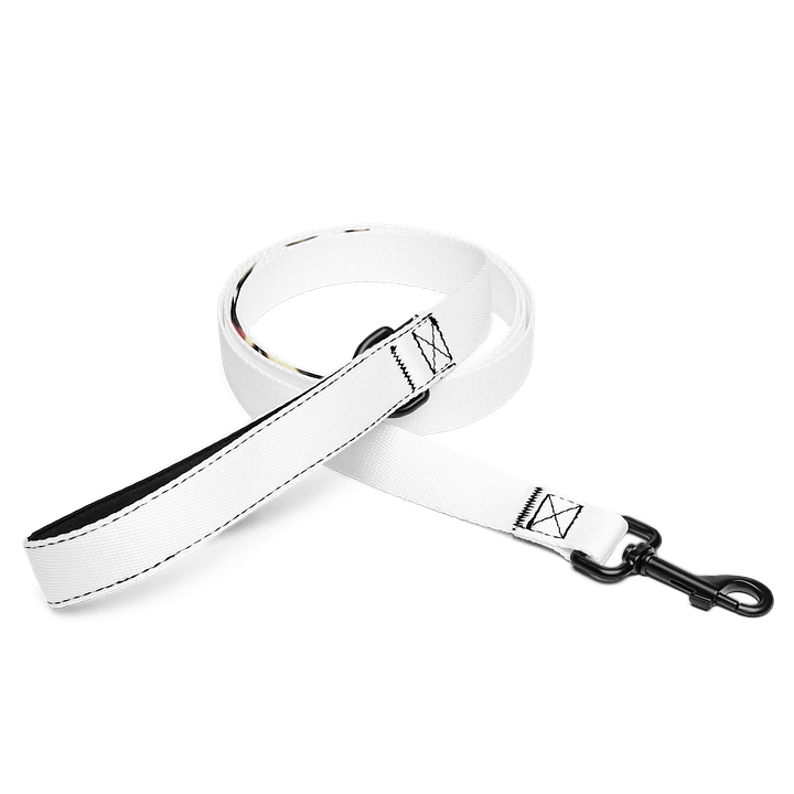 Vlog Academy Pet Leash product image (1)