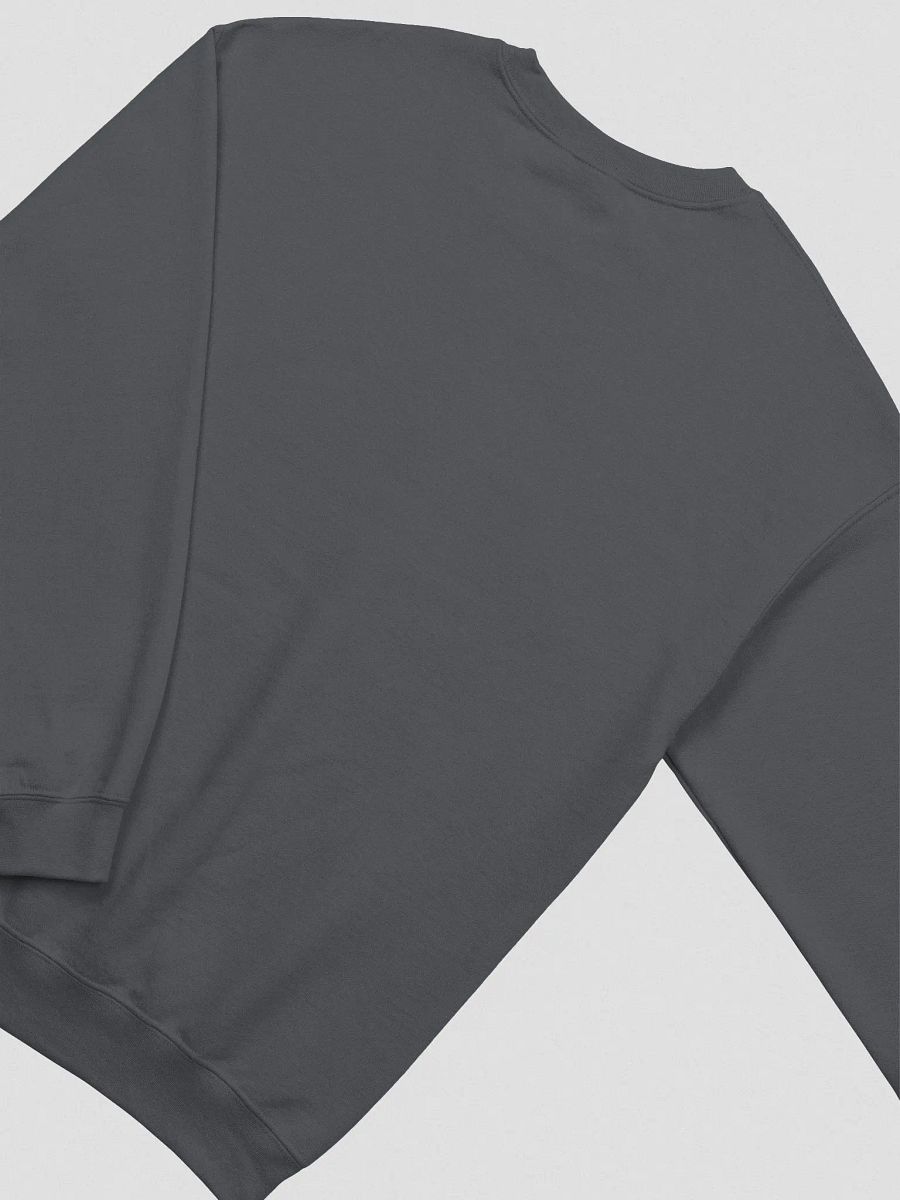 Security Sweatshirt product image (4)