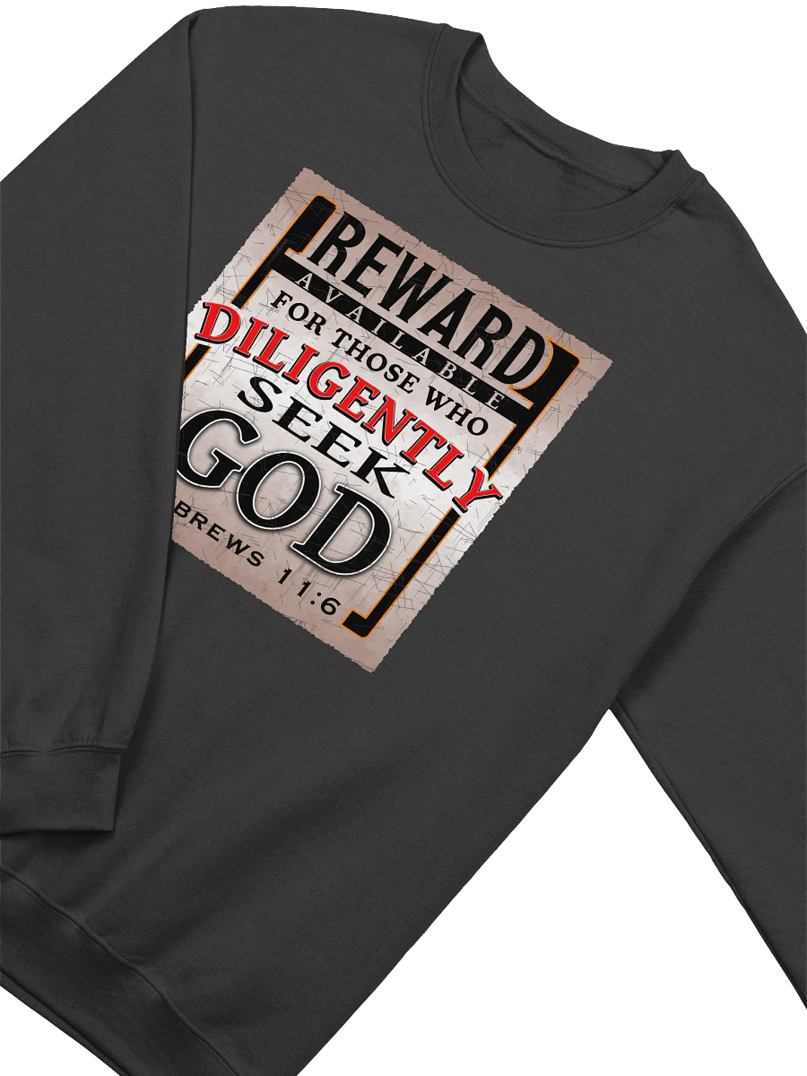 Reward For Those Who Diligently Seek God Sweatshirt product image (3)
