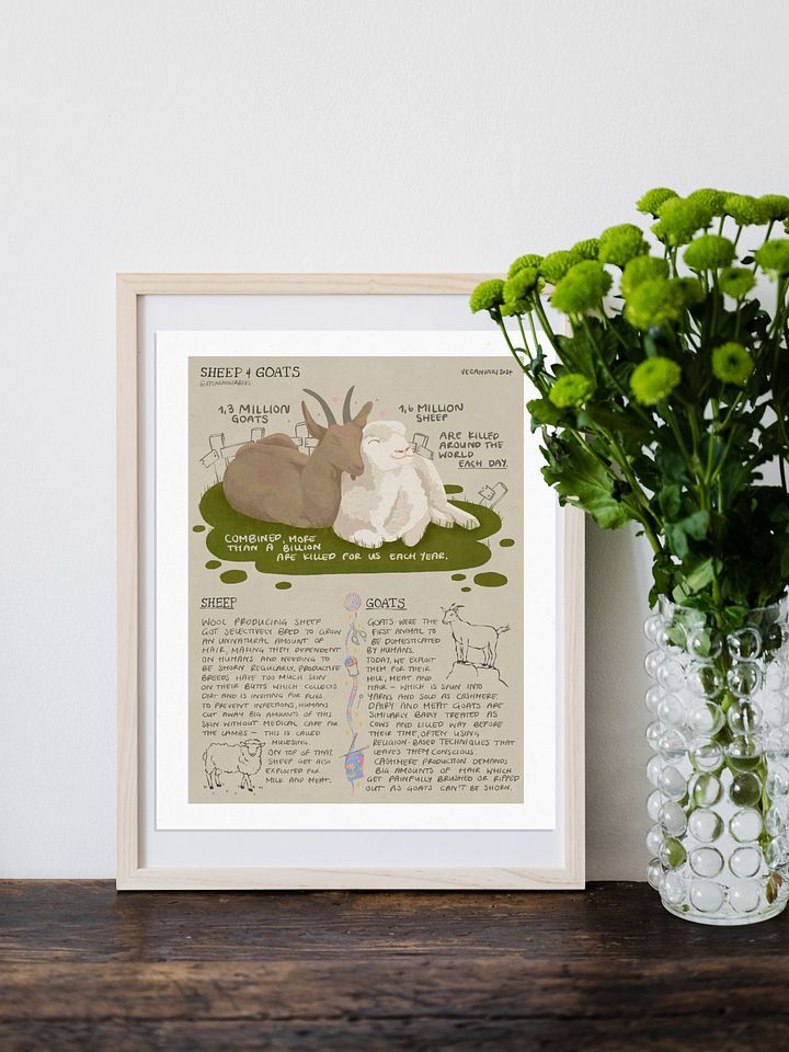 Sheep & Goats Educational Print – Veganuary 2024 product image (1)