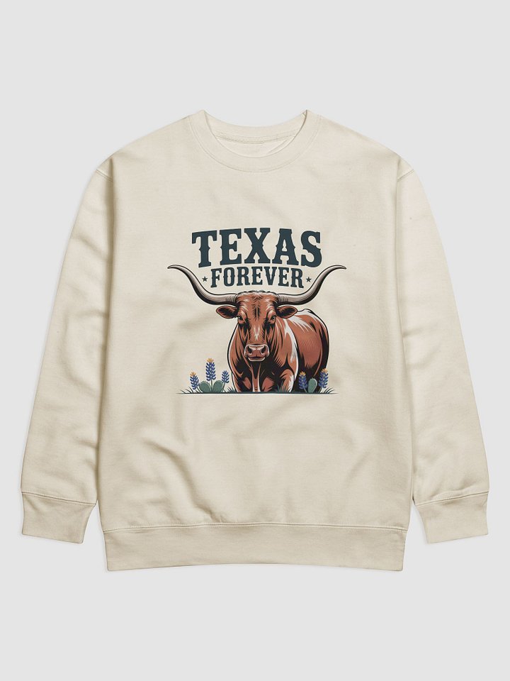 Texas Forever Sweater product image (5)