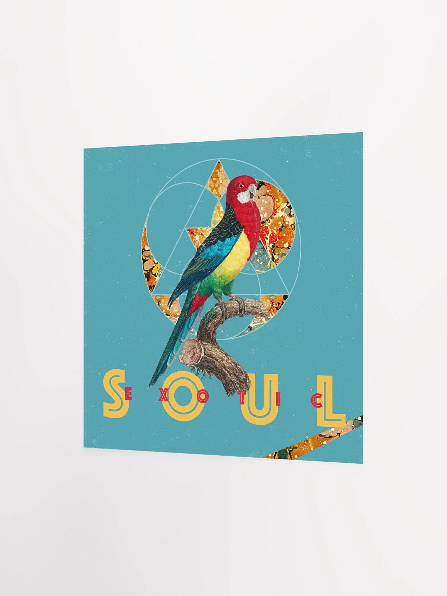 Vibrant Parrot Perch Poster product image (9)