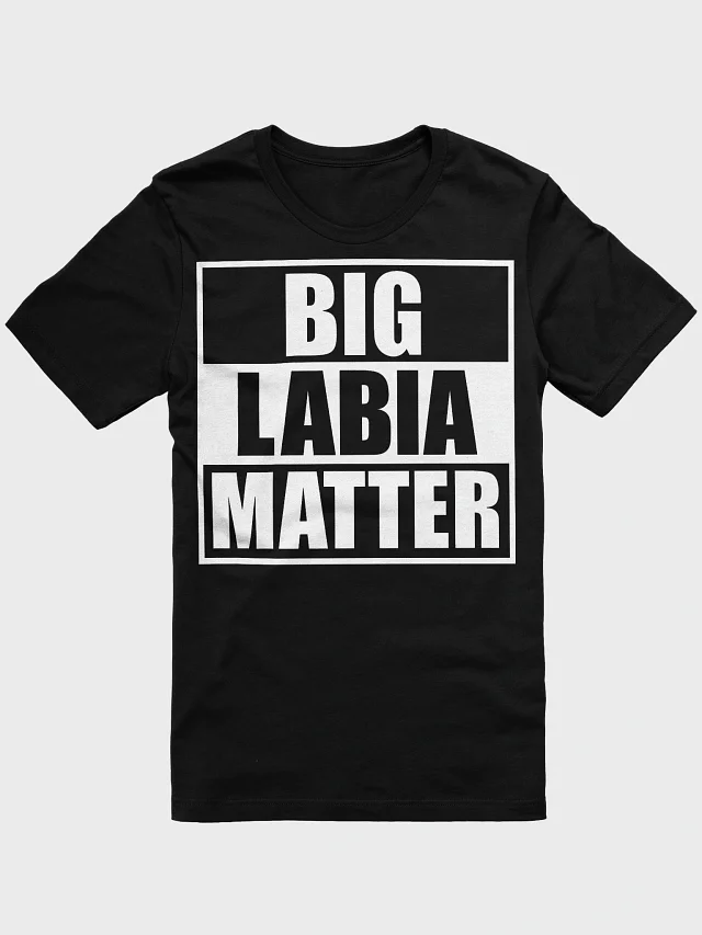 BIG LABIA MATTER T-SHIRT product image (1)